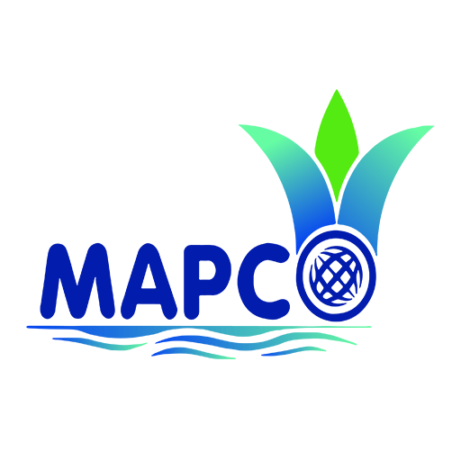 mapco-egypt.com