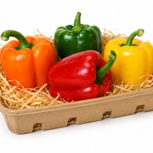 capsicum