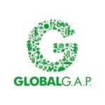 globla gap