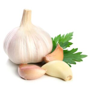 Garlic
