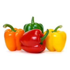Capsicum