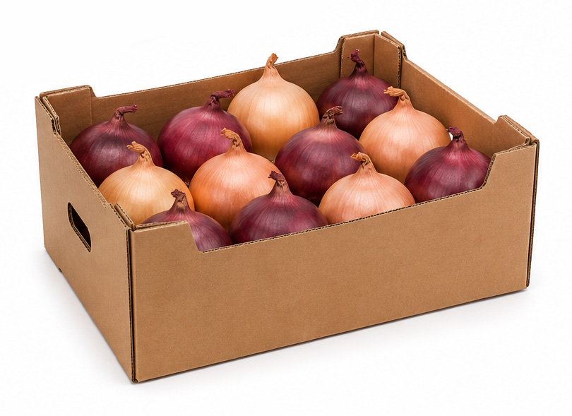 onion onion